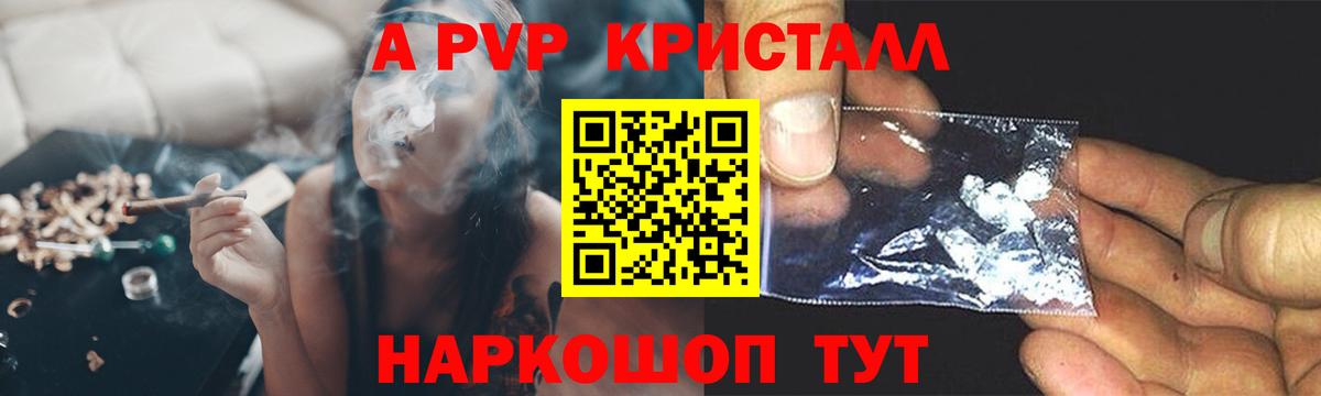 Alfa_PVP СК КРИС Ленинск-Кузнецкий