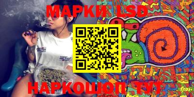 МДПВ Камышлов