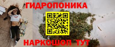 ECSTASY Кандалакша