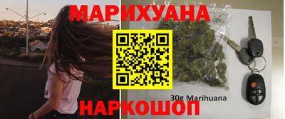 МДПВ Камышлов
