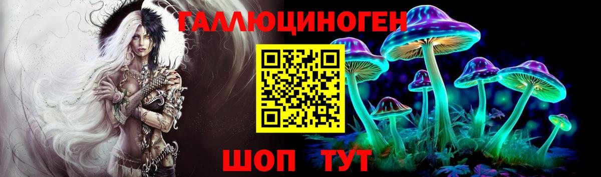 Ленинск-Кузнецкий  Псилоцибиновые грибы ЛСД  Вход с VPN  Псилоцибиновые грибы мухоморы 